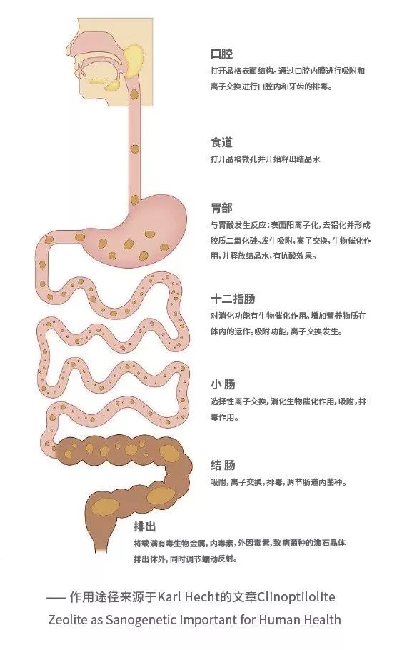 國投盛世與德國沸石納米高科技企業DMT公司達成合作意向-國投盛世